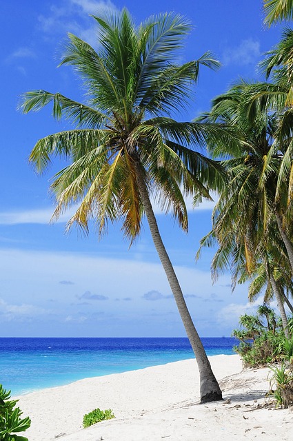beach-2178747_640